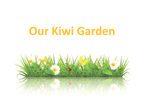 Our Kiwi Garden